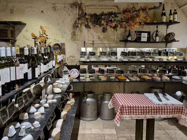 Ophorus Tours - Bordeaux Gourmet Cheese Experience : A Journey Through French Cheeses, Fun Facts & Wines