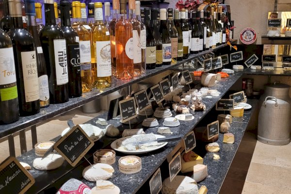 Ophorus Tours - Bordeaux Gourmet Cheese Experience : A Journey Through French Cheeses & Wines