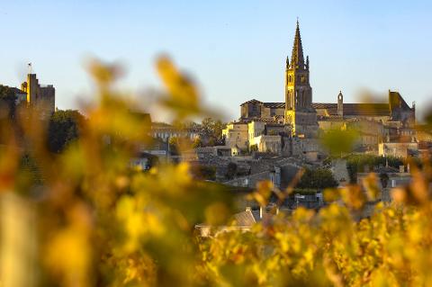 Ophorus Tours - A Private Day in Saint-Emilion: Explore Wines & Charm