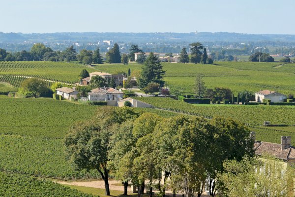 Ophorus Tours - A Private Day in Saint-Emilion: Explore Wines & Charm