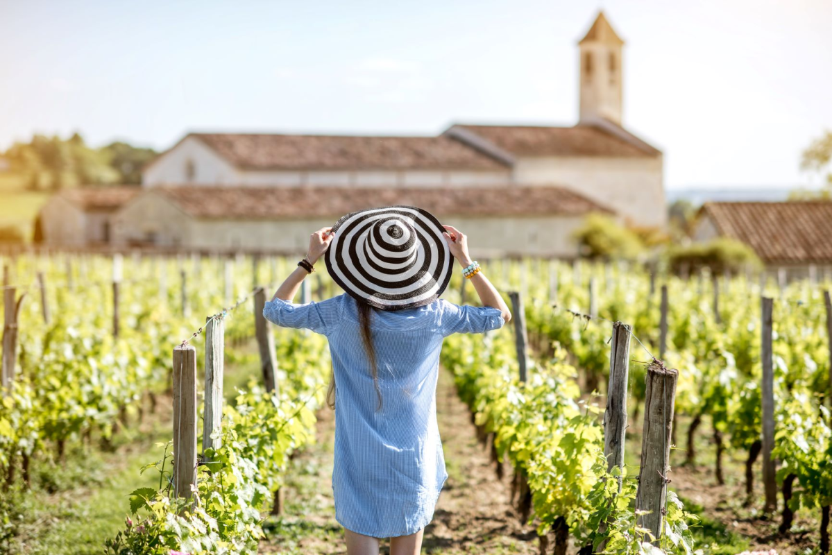 Ophorus Tours - Saint Emilion Wine Tour from Saint Emilion (private)
