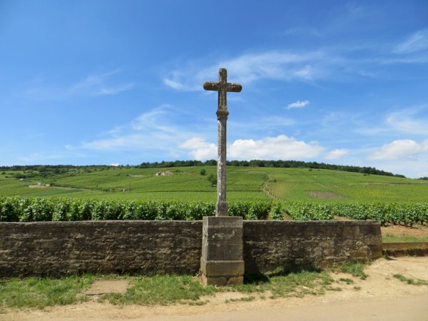 Ophorus Tours - Day tour in Burgundy with 14 wine tastings at local wineries