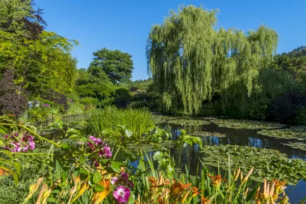Small-Group Day Trip to Giverny and Versailles from Paris