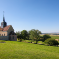Second Family Estate – Explore Another Producer’s Champagne