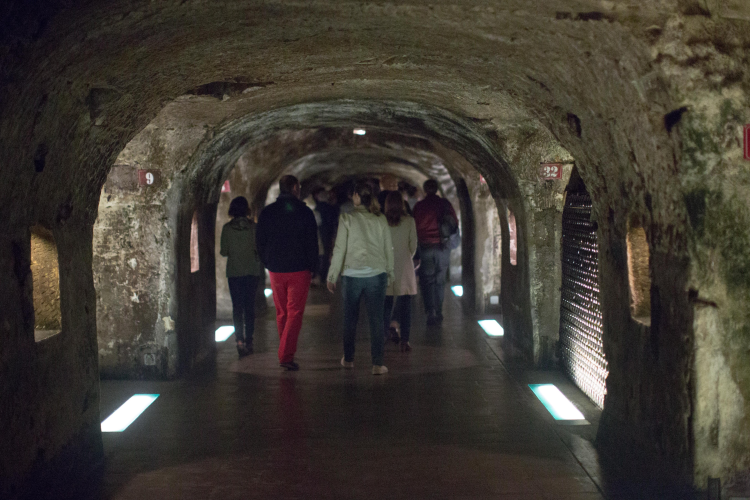 Ophorus Tours - Champagne Day Tour with Tastings: three family wineries & lunch