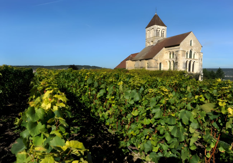 Ophorus Tours - Champagne Day Tour with Tasting: Veuve Clicquot, local winery & Lunch