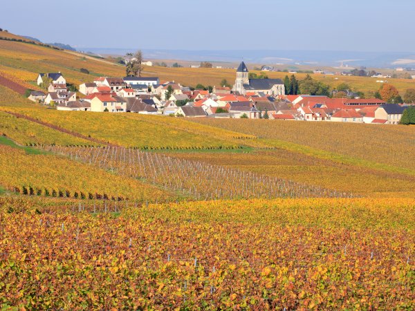 Ophorus Tours - Champagne Day Tour with Tasting: Veuve Clicquot, local winery & Lunch