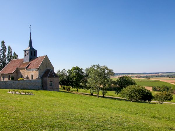 Ophorus Tours - Champagne Day Tour with Tasting: Veuve Clicquot, local winery & Lunch