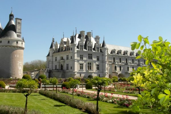 Ophorus Tours - Loire Valley Day Tour: Chateaux of Chenonceau & Chambord, Wine tasting
