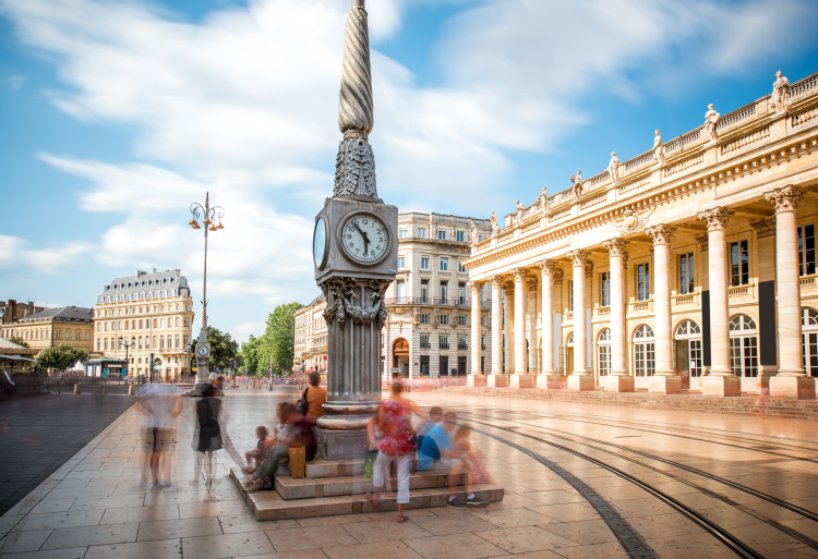 Ophorus Tours - Bordeaux Private Guided Walking Tour from Cruise Port