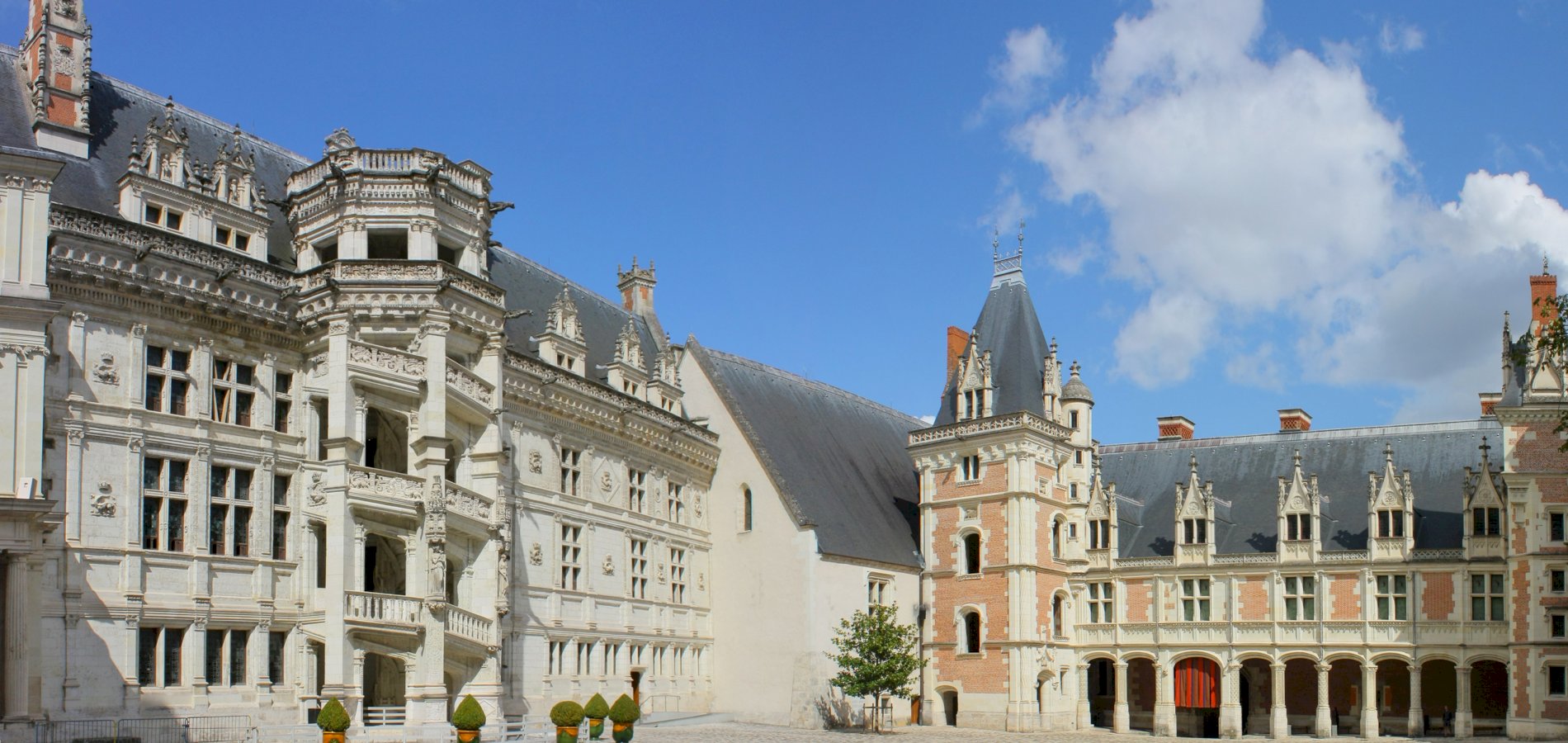 Ophorus Tours - Loire Valley Day Tour: Chateaux of Blois, Cheverny & Chambord, Organic Wine tasting