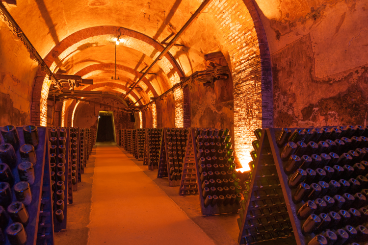 Ophorus Tours - Champagne Small Group Full Day Tour from Paris