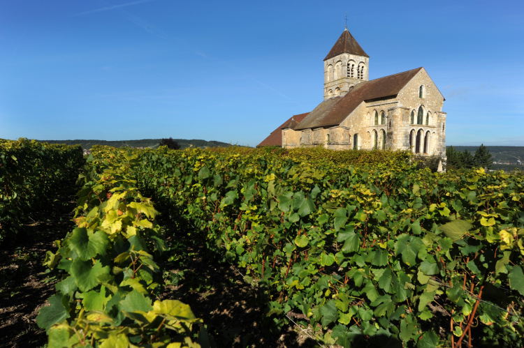 Ophorus Tours - Champagne Small Group Full Day Tour from Paris