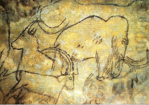 Ophorus Tours - From Trémolat to Prehistory Museum, Lascaux IV & Rouffignac Cave tour private