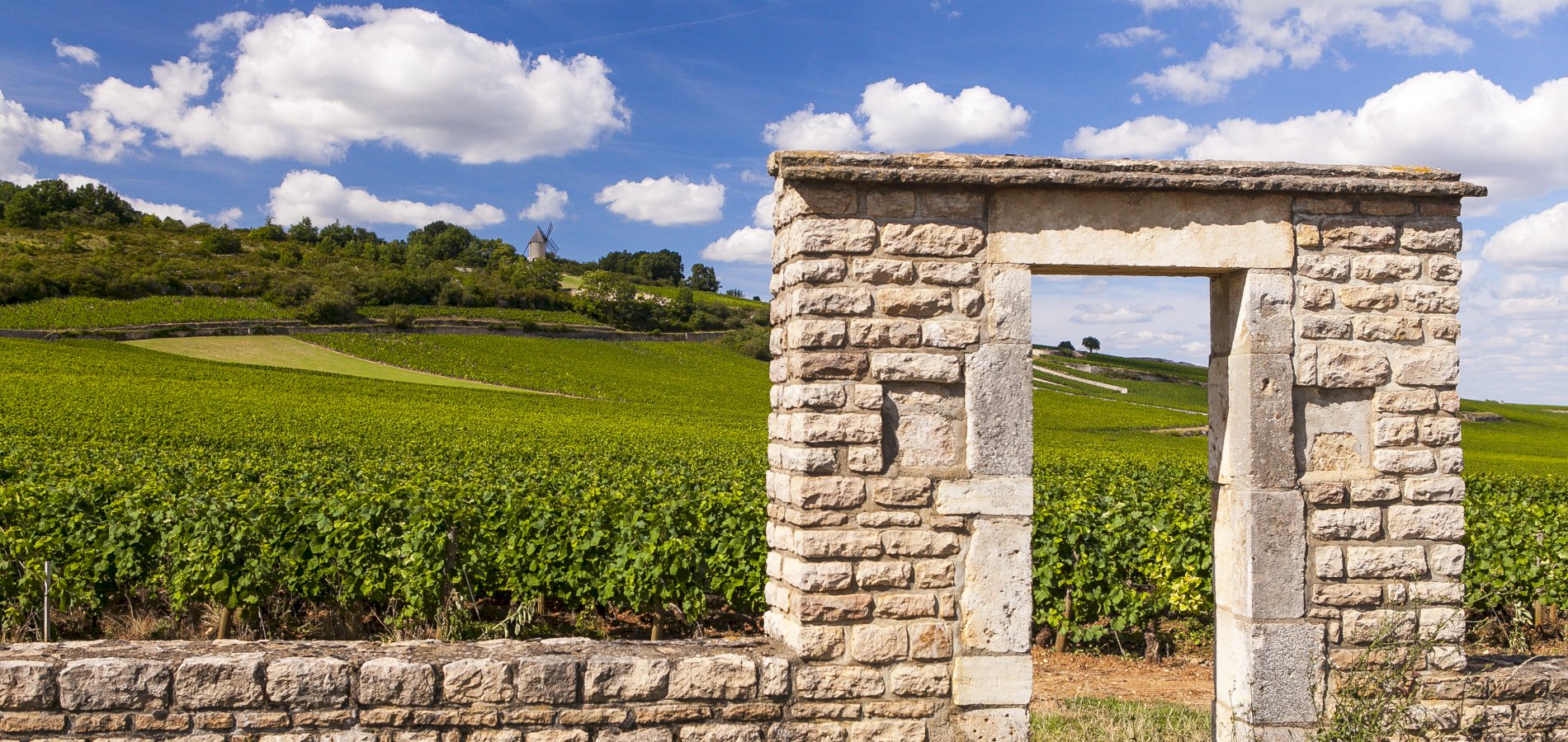 Ophorus Tours - Côte De Nuits Burgundy Wine Tour Private Day Trip From Beaune for 2 persons