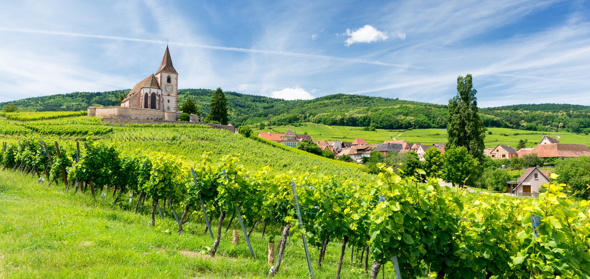 Ophorus Tours - Fairytale Alsace: Colmar, Villages & Haut Koenigsbourg from Mulhouse