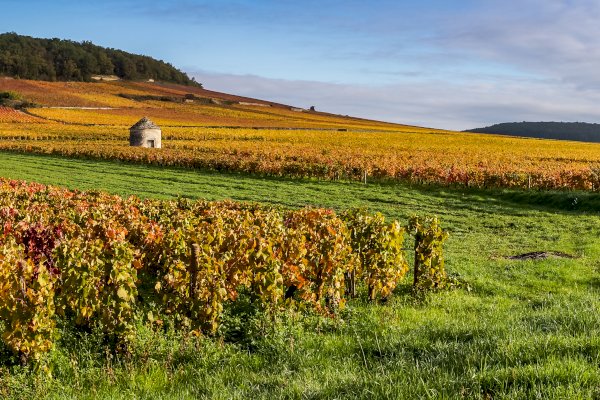 Ophorus Tours - Grands Crus Alsace Wine Tour Private Day Trip From Riquewihr