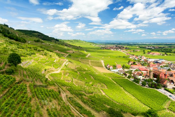 Ophorus Tours - Special Offer - 3 Days Alsace Small Group Shared Day Trips from Strasbourg