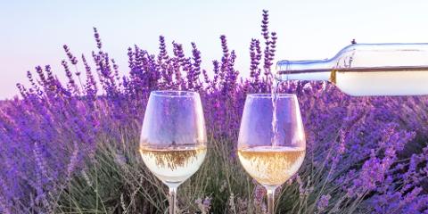 Ophorus Tours - A Taste of Provence Wine Tour : a half-day Vineyard Adventure