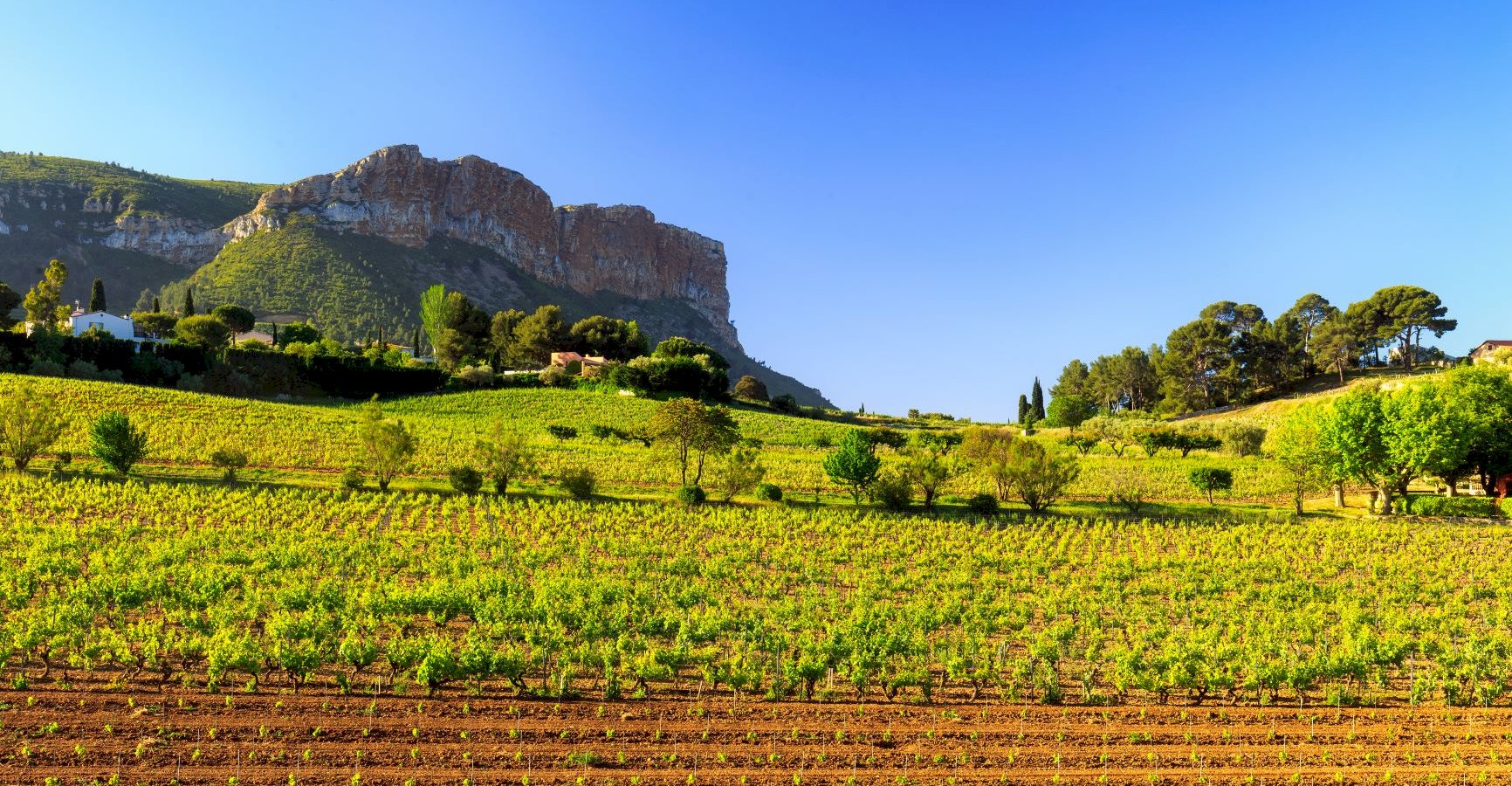 Ophorus Tours - Provence Wine Tour Half Day Trip from Aix en Provence