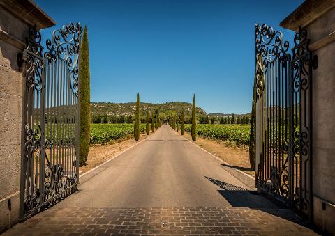 Ophorus Tours - A Taste of Provence Wine Tour : a half-day Vineyard Adventure