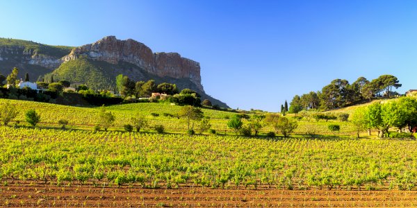 Ophorus Tours - Provence Half-Day Wine Tasting Tour from Aix-en-Provence