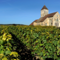 Independent Champagne Winery – Cellar Discovery and Tasting