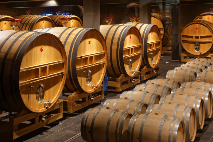 Ophorus Tours - Taste of Champagne: Private Half-Day Tour from Reims 