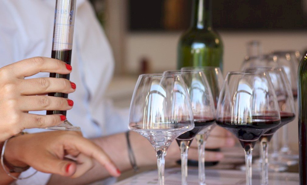 Ophorus Tours - Medoc's Wine & Culinary Delights: Private Tour with Blending & Pairing