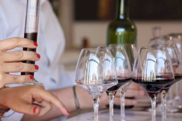 Ophorus Tours - Medoc's Wine & Culinary Delights: Private Tour with Blending & Pairing