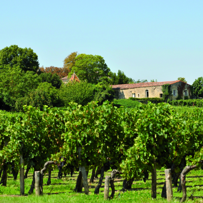 Prestigious Wine Estate – Afternoon Tasting