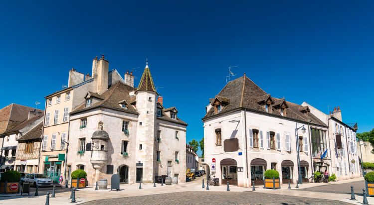 Ophorus Tours - Discover Côte de Beaune Wines: Private Wine Tour from Beaune