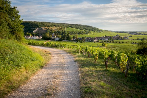 Ophorus Tours - From Beaune Burgundy Wine Tour to Côte de Beaune private