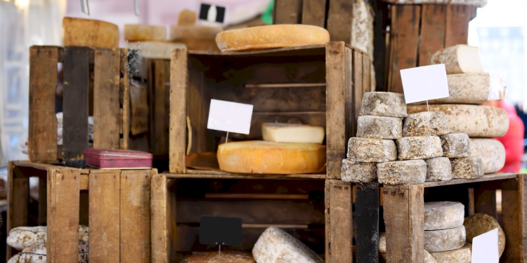 Ophorus Tours - Colmar Private Food & Wine Tour: Taste of Alsace