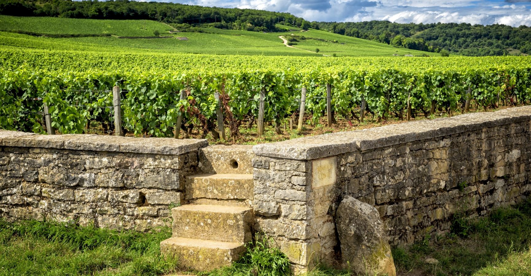 Ophorus Tours - 4 Days Burgundy Wine Tour Private Travel Package - Dijon - 3* Hotel Option