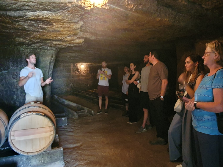 Ophorus Tours - Private Bordeaux Guided Tour & Saint‑Émilion Wine Tour