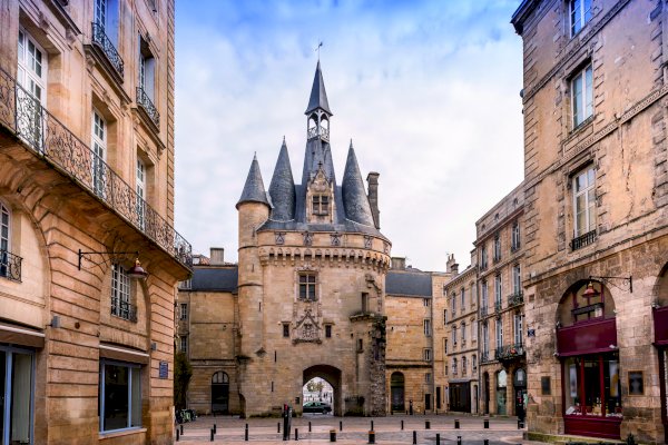 Ophorus Tours - A Bordeaux Day to Remember: Walking Tour & Private Wine Tour 