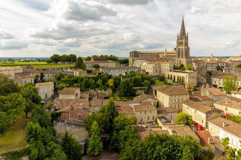 Ophorus Tours - A Bordeaux Day to Remember: Private Walking Tour & Saint-Émilion Wine Tour