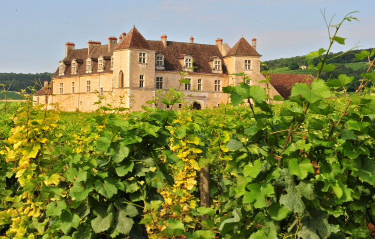 Ophorus Tours - Luxury Escape: Private Wine Tour to Côte de Nuits from Beaune