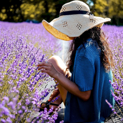 Stop around Valensole