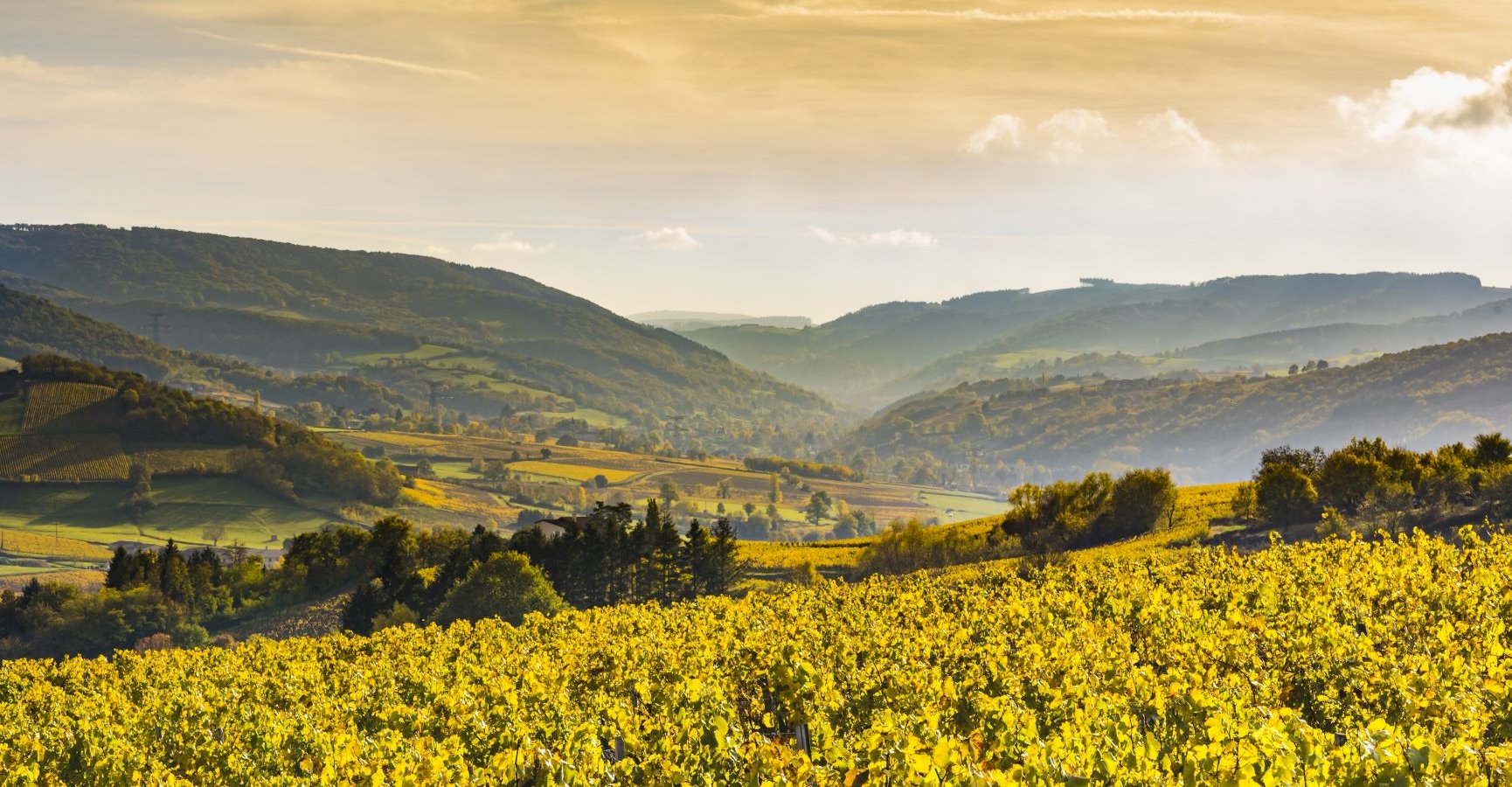 Ophorus Tours - 4 Days Private Burgundy Wine Tours Package - Beaune - 3* Hotel