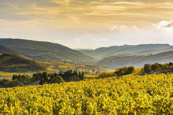 Ophorus Tours - 4 Days Private Burgundy Wine Tours Package - Beaune - 3* Hotel