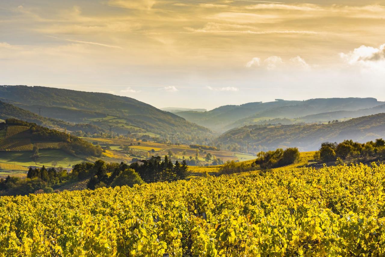 Ophorus Tours - 4 Days Burgundy Wine Tour Private Travel Package - Beaune - 3* Hotel Option