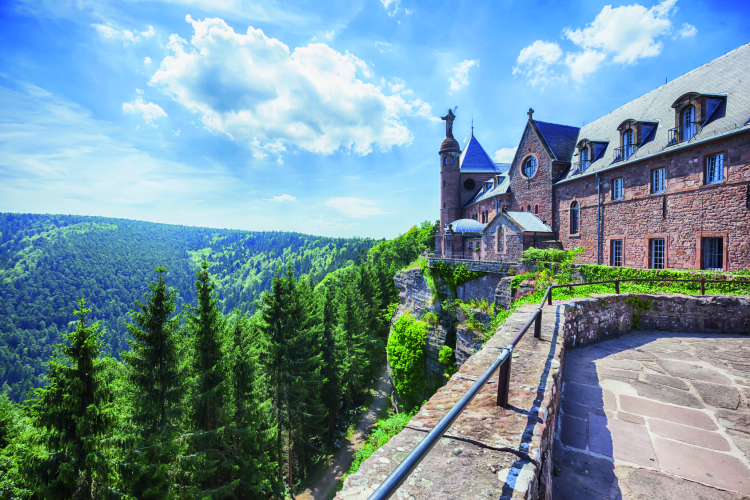 Ophorus Tours - Medieval Charm & Mountain Views: Private Tour to Obernai & Mont Saint Odile