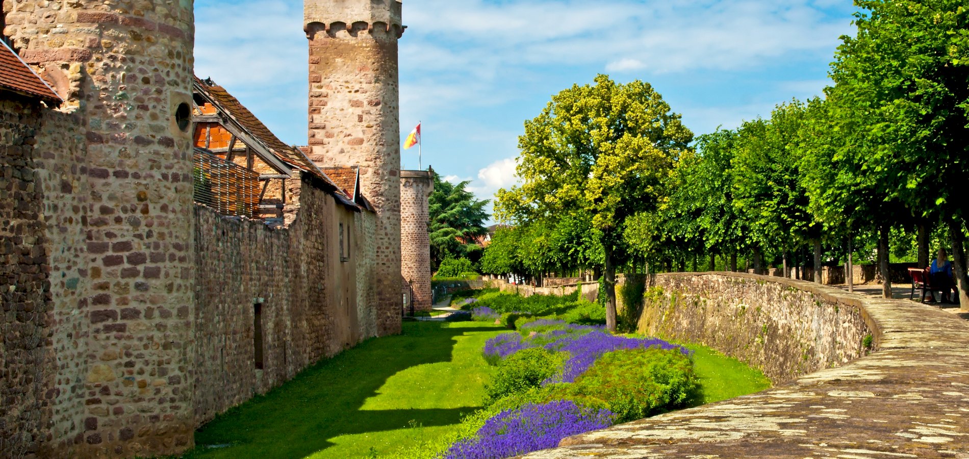 Ophorus Tours - A Private Half Day Trip From Strasbourg to Obernai Village & Mont Saint Odile