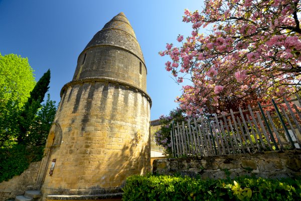 Ophorus Tours - A Private Day Trip From Bordeaux to Dordogne & Sarlat