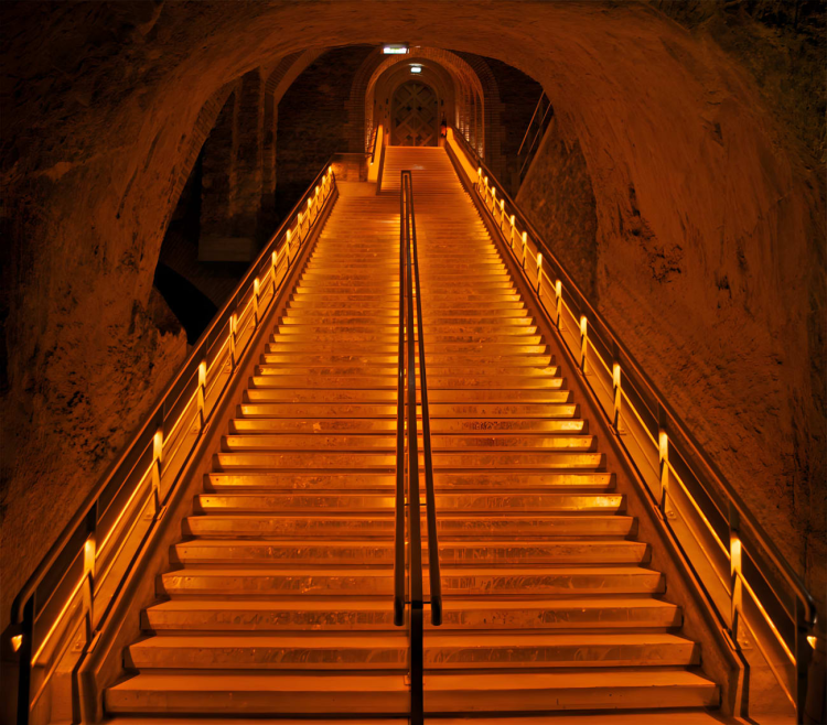 Ophorus Tours - Reims Cathedral, Veuve Clicquot & Family Grower Private Tour