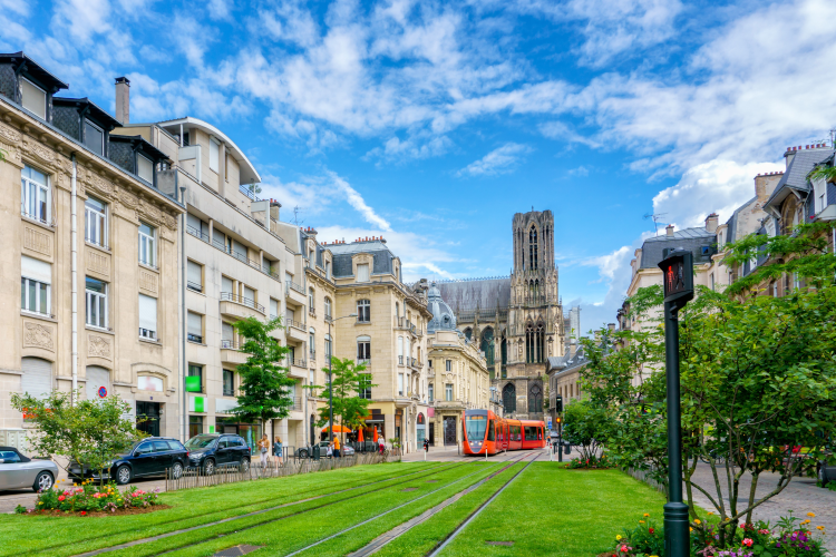 Ophorus Tours - Reims Cathedral, Veuve Clicquot & Family Grower Private Tour