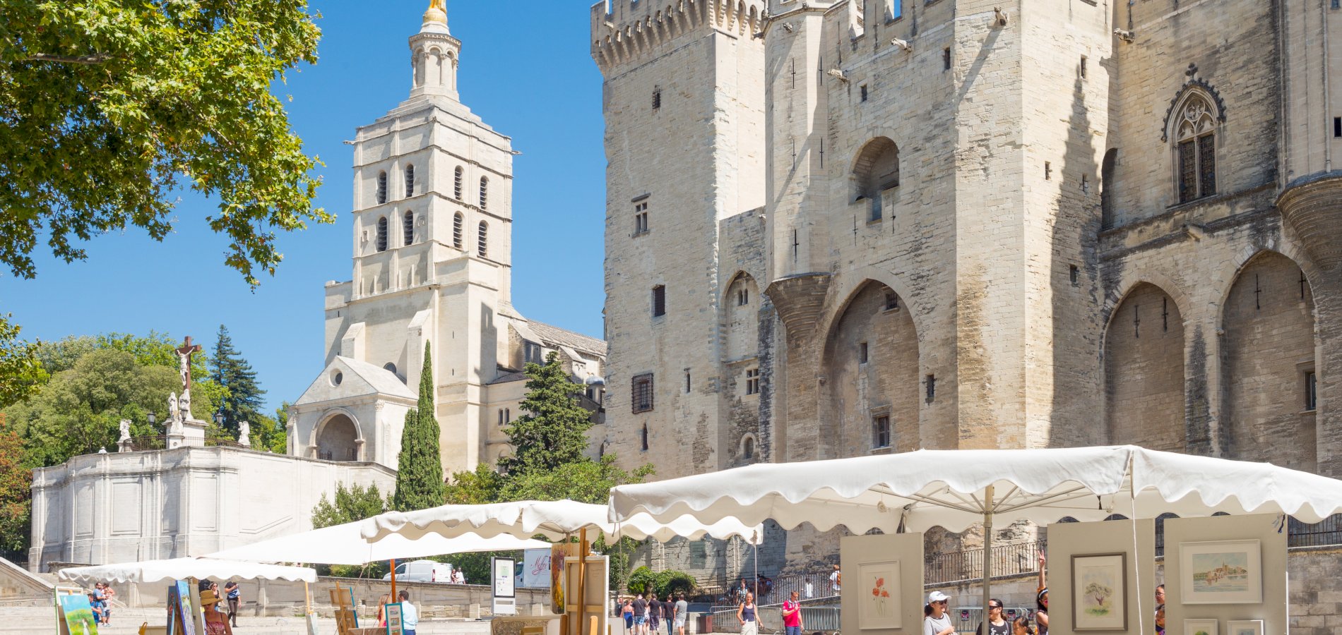 Ophorus Tours - Private Avignon Walking Tour with a Licensed Guide