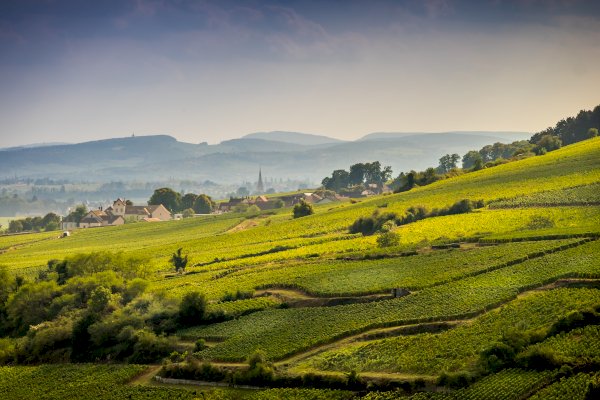 Ophorus Tours - A Private Burgundy Wine Tour Half Day Trip from Beaune to Côte de Nuits